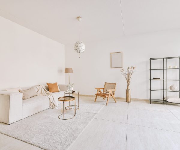 White sofa,pillows ,round table ,wooden armchair in a stylish dining room